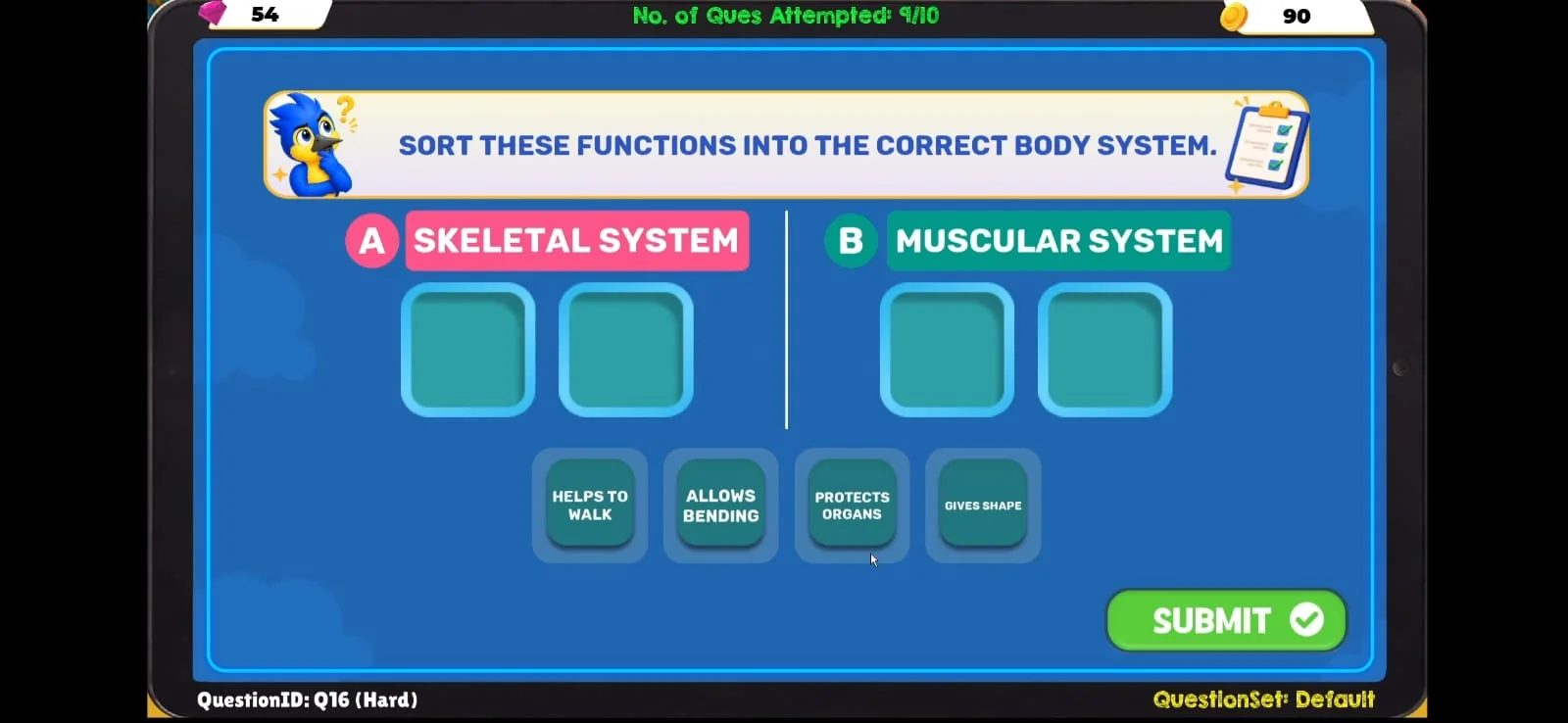 TurboKids sorting activity for the skeletal and muscular systems